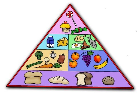 This healthy food pyramid shows these six food groups.